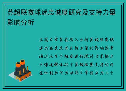 苏超联赛球迷忠诚度研究及支持力量影响分析